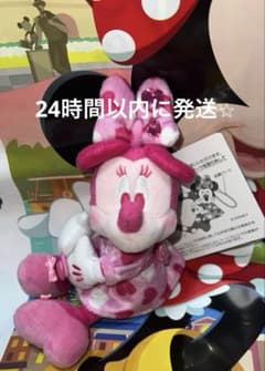 ディズニー パルパルーザ 2026 ミニー ぬいぐるみ バッジ ぬいば