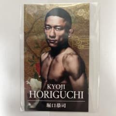 超RIZIN2 PPVカード 堀口恭司 - メルカリ