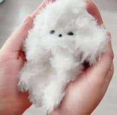 m64131109564_1.jpg?1714353158