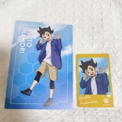 イナズマイレブン イナイレ まねきねこ ポストカード - メルカリ