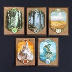 MTG 基本土地 アングルード 島 山 沼 森 平地 五枚セット - メルカリ