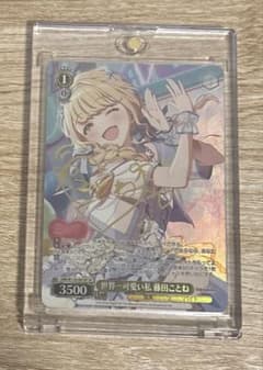 m66208371623_1.jpg?1748761612