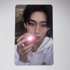 ENHYPEN THE SIN:VANISH トレカ ソヌ - メルカリ