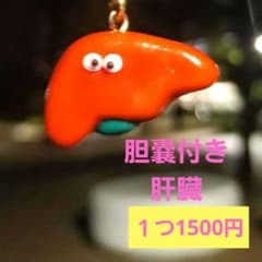 胆嚢付き肝臓 手作り 臓器 キーホルダー ハンドメイド - メルカリ
