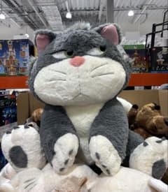 m69367392740_1.jpg?1765636534