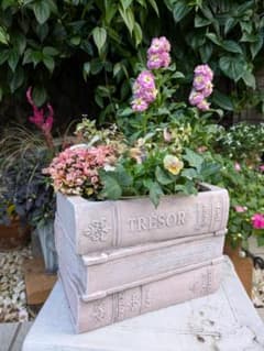 m69229875954_1.jpg?1771899602