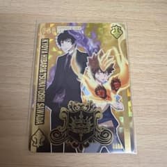 家庭教師ヒットマンREBORN サザンクロスバトル MVR 沢田綱吉 - メルカリ