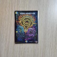 パーフェクトペテンシー 1枚 - メルカリ