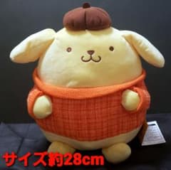 m61170244891_1.jpg?1704819924