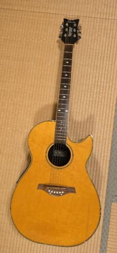 Schecterダイヤモンドシリーズ エレアコ セミハードケース付き - メルカリ