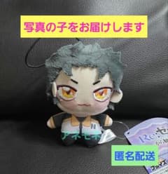 リゼロ Re:ゼロから始まる異世界生活 スバル ちょぴぬいぷち GIGO