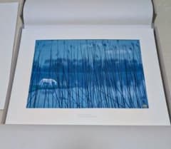 m14233565774_1.jpg?1743229410