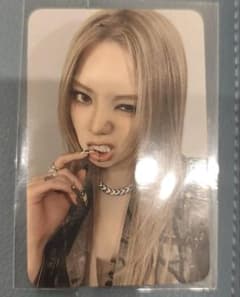 m14504622000_1.jpg?1765296912