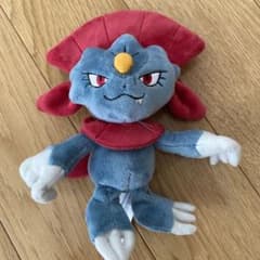 m14556443848_1.jpg?1717895036