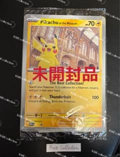 Pikachu at the Museum ピカチュウ ロンドン自然史博物館32 - メルカリ