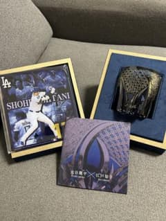 m15334750139_1.jpg?1761220009