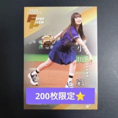 m17971691291_1.jpg?1765891328