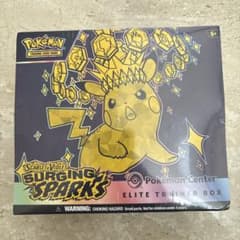 海外ポケモンセンター限定 エリートトレーナーボックス ピカチュウ