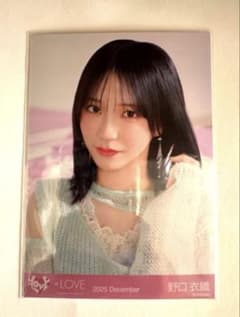 最終お値下げ】イコラブ 野口衣織 ヨリ ＆ 木漏れ日メゾフォルテ 集合