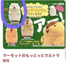 m11452181676_1.jpg?1740634448