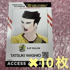 新品】 ハイキュー Vリーグ IDイメージカード 鷲尾辰生 10枚セット
