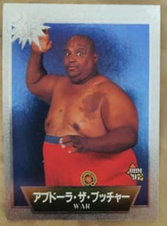 m13325387568_1.jpg?1762052533