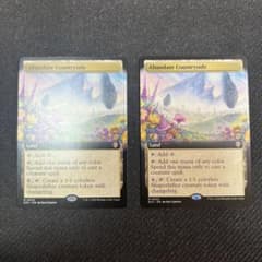 MTG 豊かな在郷/Abundant Countryside英語版 2枚セット - メルカリ