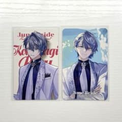 m13640993401_1.jpg?1755400827