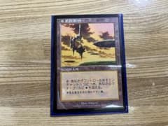 MTG セラの聖域 日本語版 - メルカリ