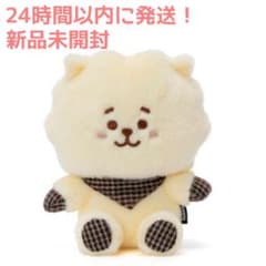 RJ】BT21 ぬいぐるみ グレンチェック ラインフレンズ 公式 BTS - メルカリ