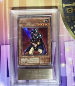 翻弄するエルフの剣士 ARS10+ - メルカリ