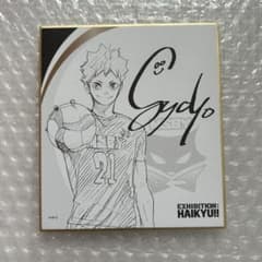 ハイキュー‼︎展 サイン色紙 色紙コレクション2 日向翔陽 - メルカリ