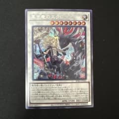 黒き竜のエクレシア シークレット - メルカリ