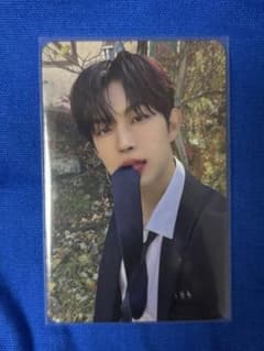 ALD1 ゴヌ トレカ サノク - メルカリ