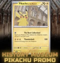 Pikachu at the Museum ピカチュウ ロンドン自然史博物館 ⑥ - メルカリ