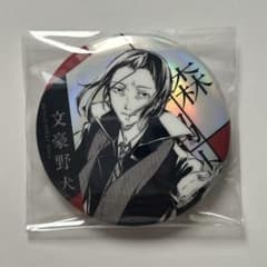 m37348688202_1.jpg?1759999301