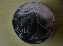 Walking Liberty Silver Coin 1ozとブレスレット - メルカリ