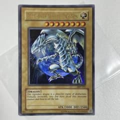 m37828516628_1.jpg?1692246310