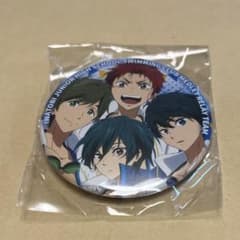 Free! ハイスピード ハイスピ 缶バッジ 七瀬遙 橘真琴 桐嶋郁弥 椎名旭