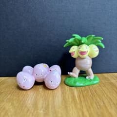 m32314704809_1.jpg?1710747073