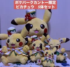 ポケパークカントー ショップ 限定 ピカチュウ ぬいぐるみ5体セット