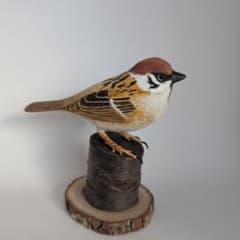 m79193289565_1.jpg?1735608044