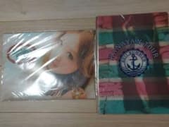 匿名配送・新品・未使用・未開封】西野カナ ツアー「クリアファイル