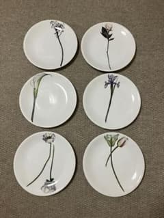 ドリアデ 花絵柄プレート（6枚組） - メルカリ