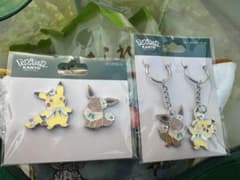 ポケパークカントー ピカチュウ イーブイ ピンズ キーホルダー - メルカリ