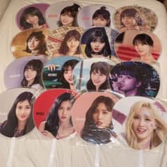 m73076482784_1.jpg?1706531247