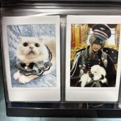 m73779631295_1.jpg?1742918364