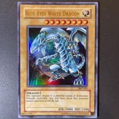 m84586832263_1.jpg?1637068911