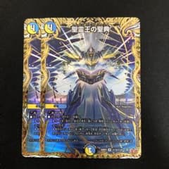 聖霊王の聖典 アルカディアスバイブル 秘 シク シークレット 2枚セット