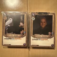 ハリーポッターTCG デッキ カードまとめセット カードゲーム 体験会